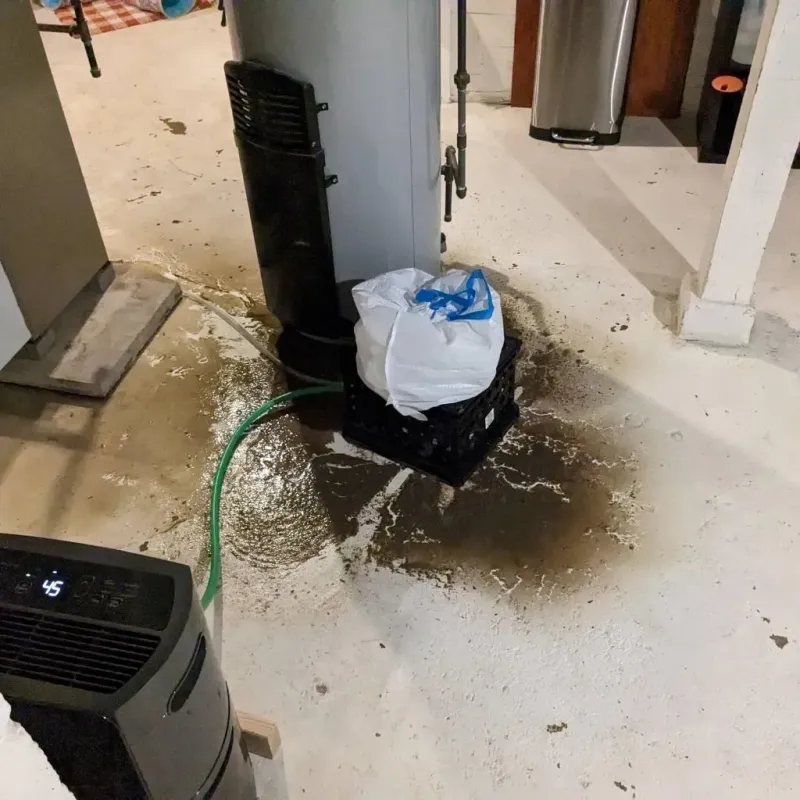 Sewage Backup Cleanup Service in Rainbow City, AL